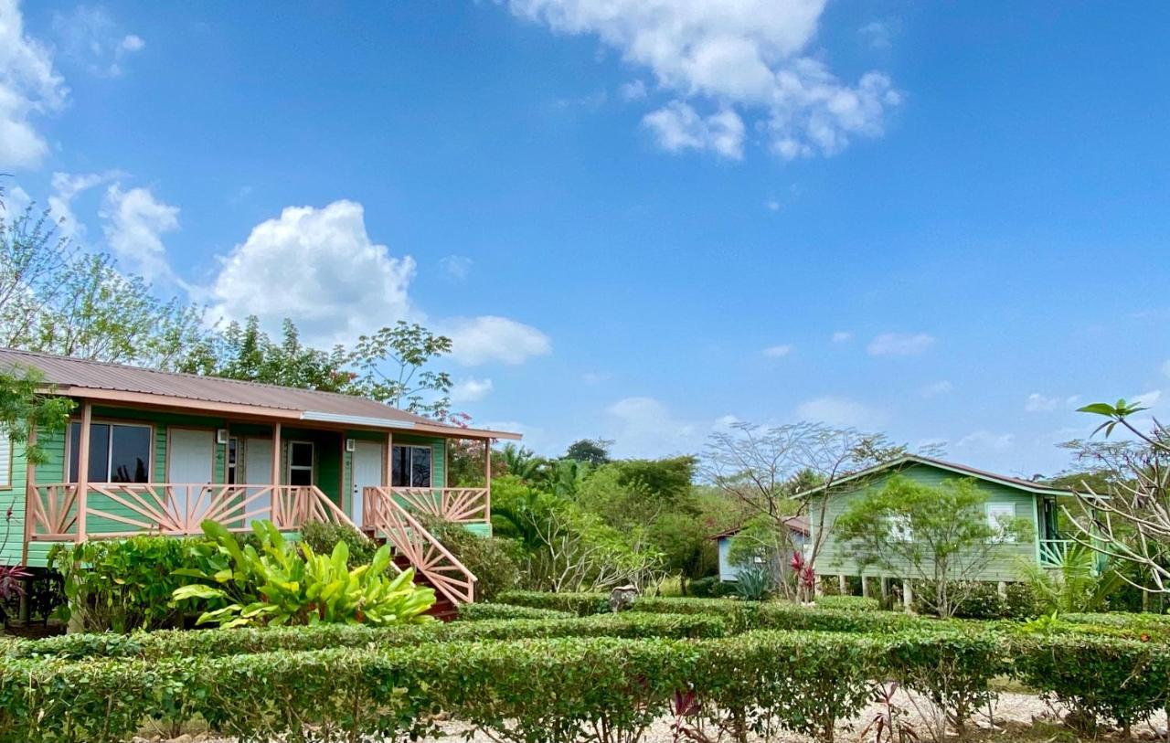 Dream Valley Belize Teakettle Village Exterior photo
